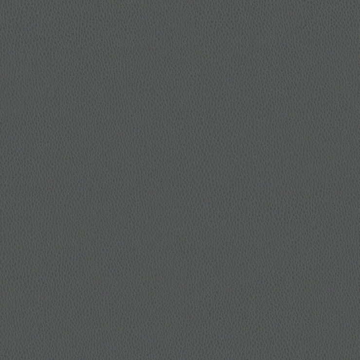 Carson cv graphite