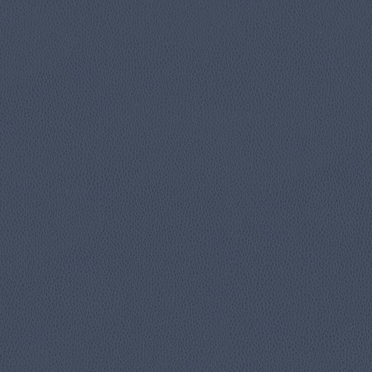 Carson cv indigo