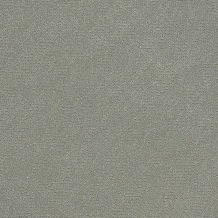 Faux Mo Nickel