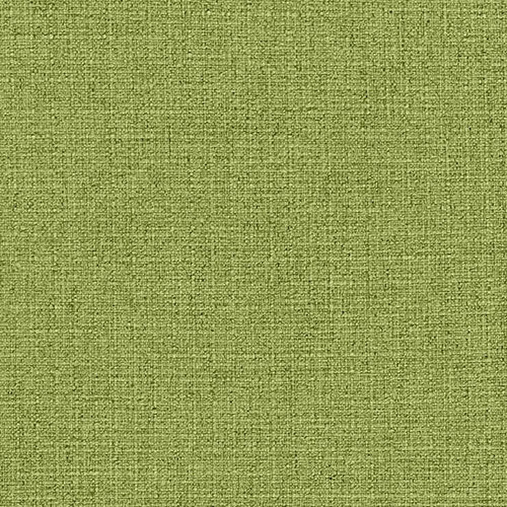 Flock fern