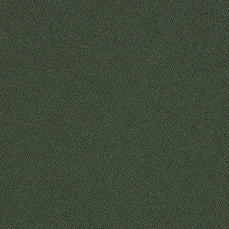 Origin fir