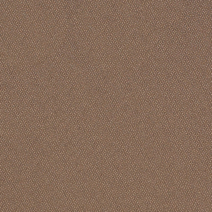 Origin seed