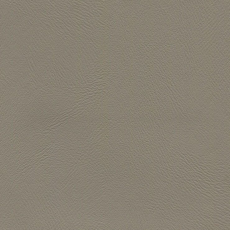 Illusion Antelope