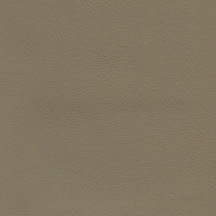 Illusion Med Camel