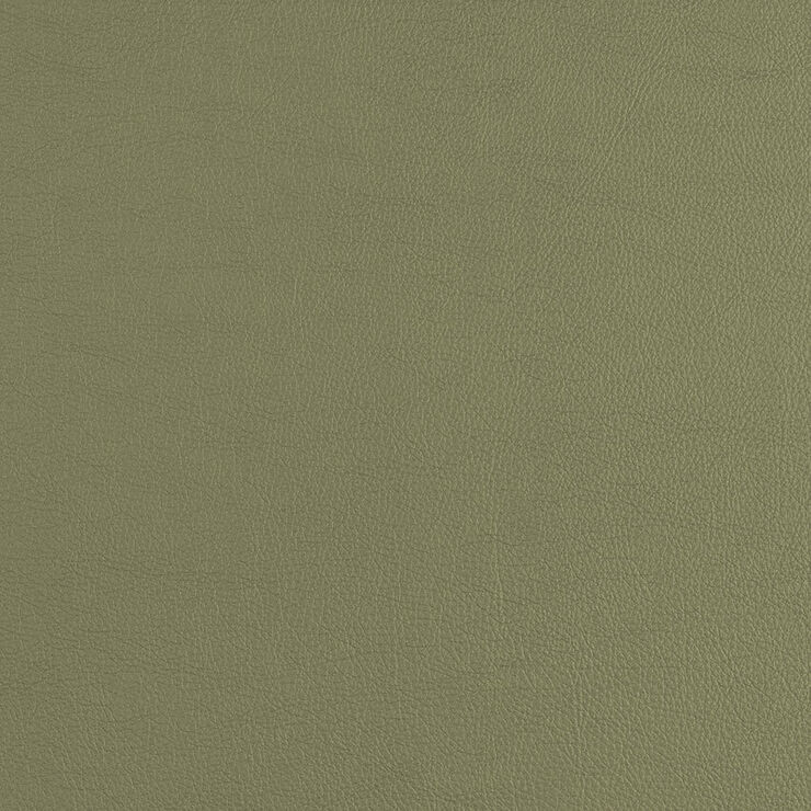 CAS205 Cactus