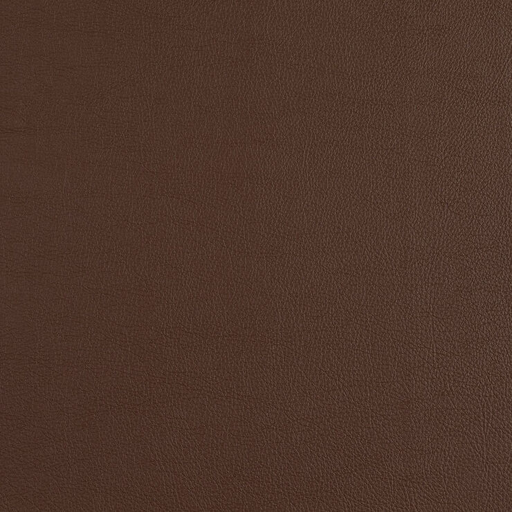CAS213 Hickory