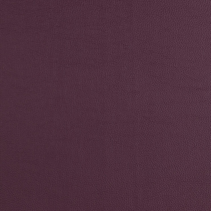 CAS219 Boysenberry