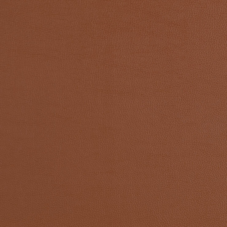 CAS231 Brownstone