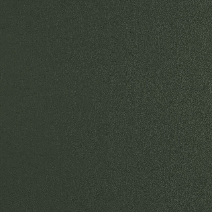 CAS241 Evergreen