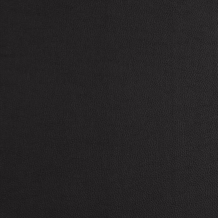 CAS242 Ebony