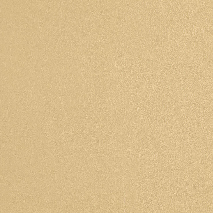 CAS245 Champagne