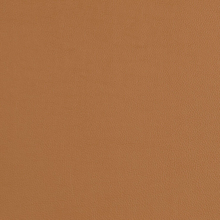 CAS247 Butterscotch