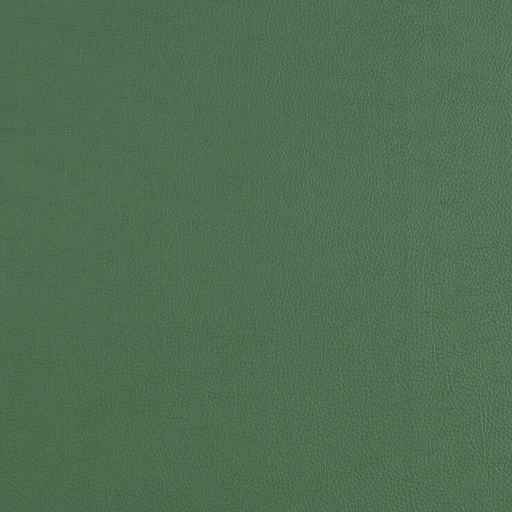 CAS255 Leek