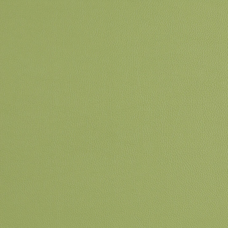 CAS256 Sour Apple