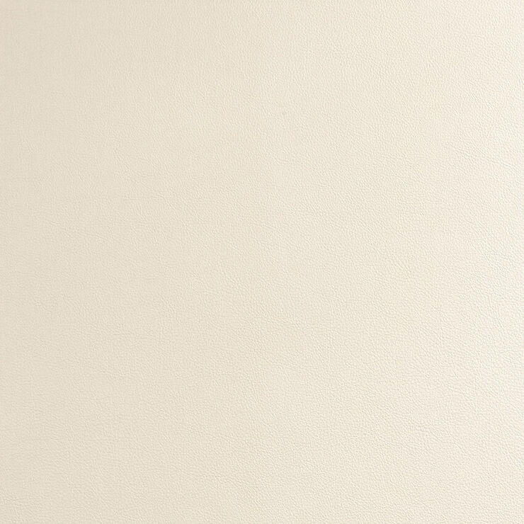CAS260 Stucco