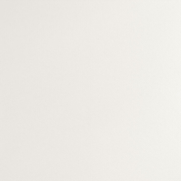 CAS264 Argent