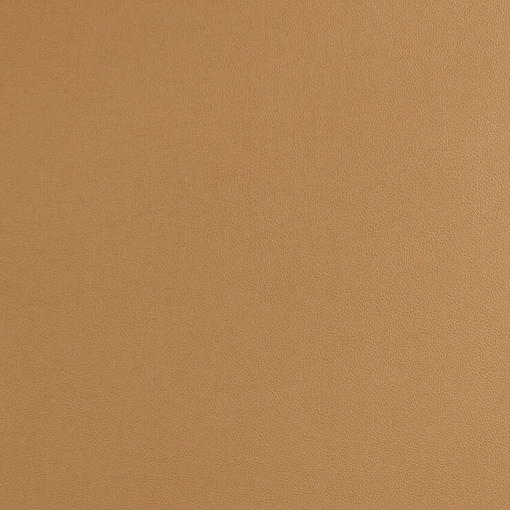CAS268 Safari