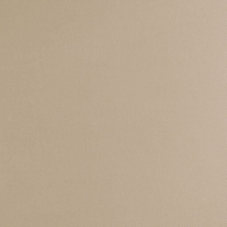 CAS270 Coyote