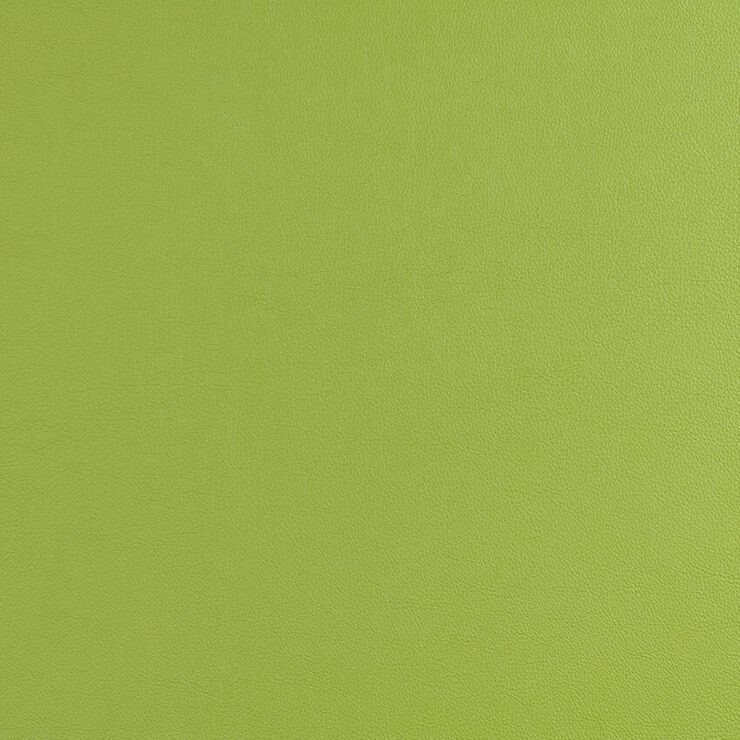CAS276 Lime