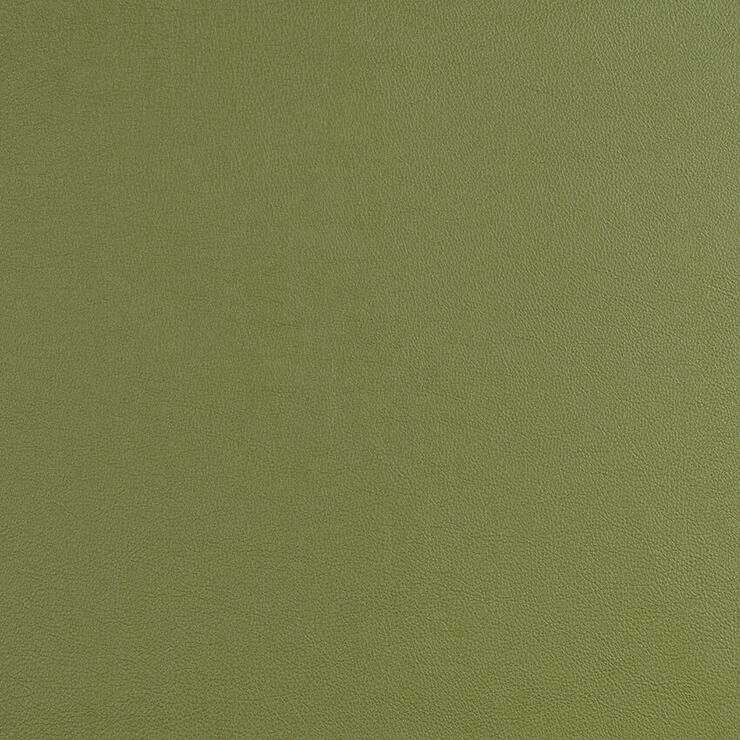 CAS280 Chive