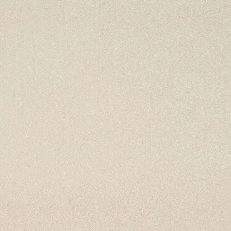 BANKS ORGANZA